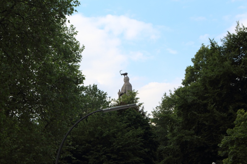 jpg06017
